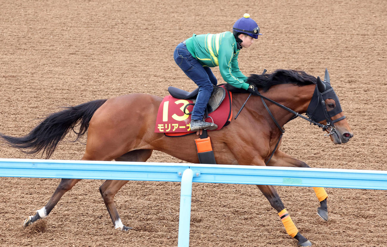 8日、モリアーナは武藤騎手を背に美浦ウッドを単走で追い切られた