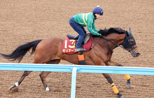8日、モリアーナは武藤騎手を背に美浦ウッドを単走で追い切られた