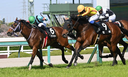 立雲峡S3着のリッケンバッカー(左)。右は勝ったセオ