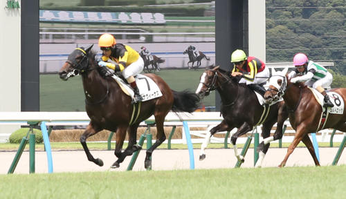 23年8月、2歳未勝利戦を勝ち上がったドナヴィーナス(左)