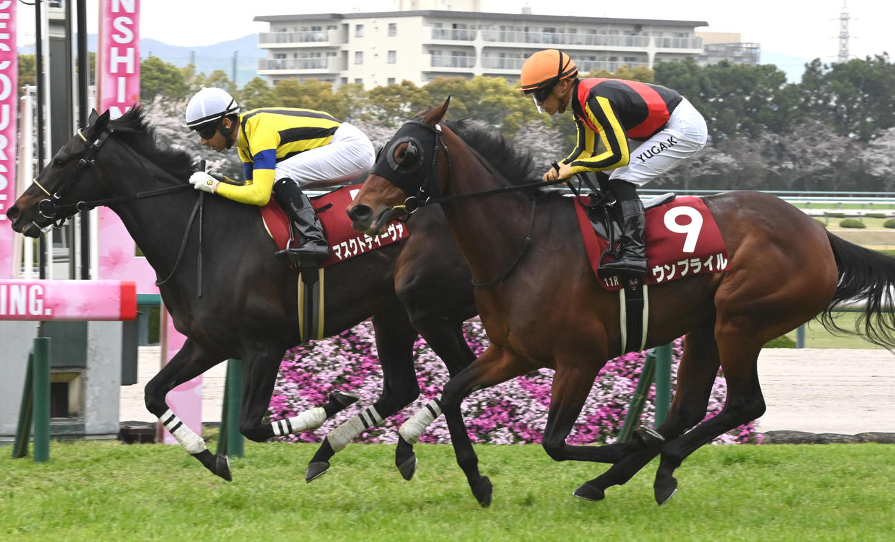 阪神牝馬S2着に敗れたウンブライル（右）。左は勝ったマスクトディーヴァ