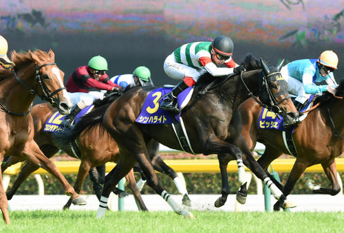 16年オークスを制したシンハライト（中央）
