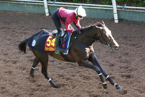 15日、坂路を駆け上がるクイーンズウォーク