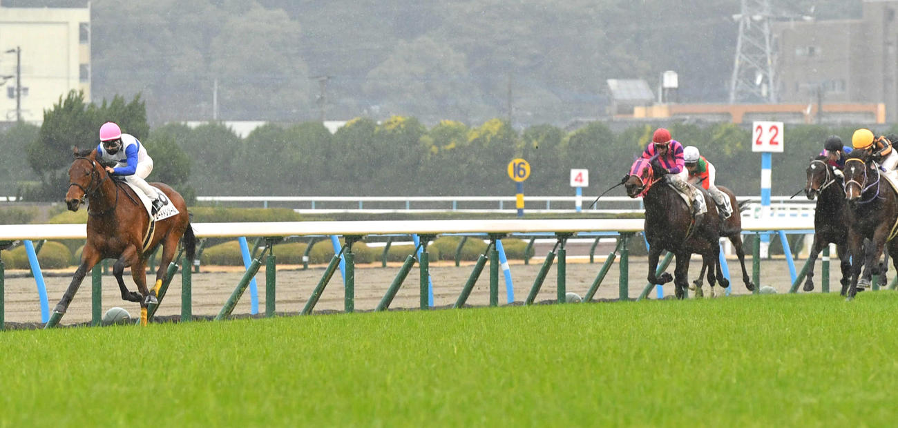 1月20日、未勝利戦を4馬身差で制したロードトレゾール