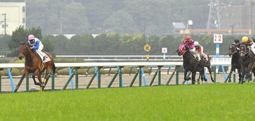 1月20日、未勝利戦を4馬身差で制したロードトレゾール