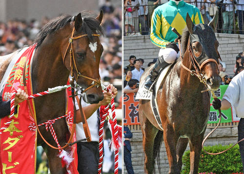 タスティエーラ（左）と父サトノクラウン