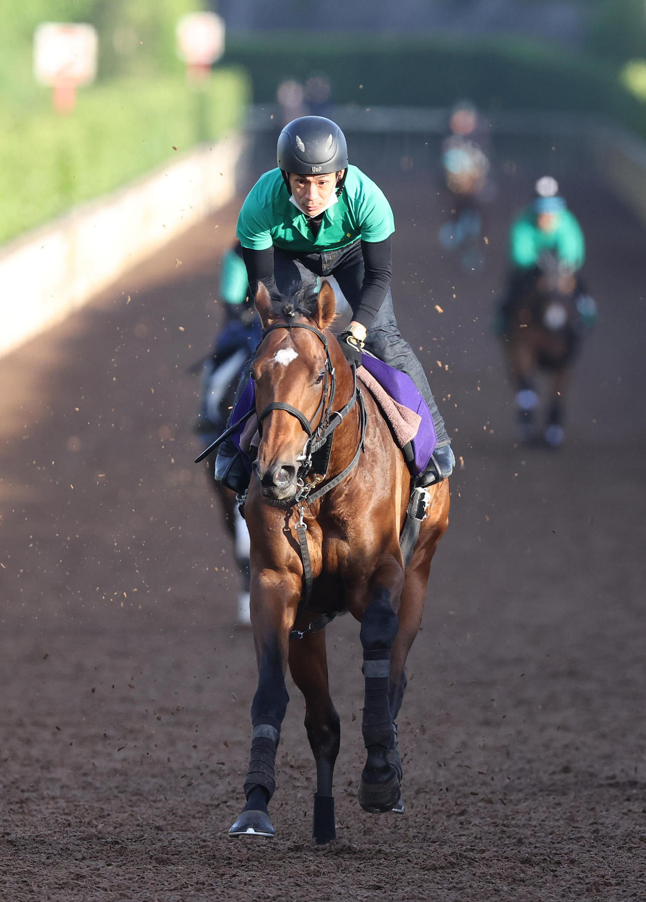 坂路を併せ馬で追い切るサンライズジパング（撮影・白石智彦）