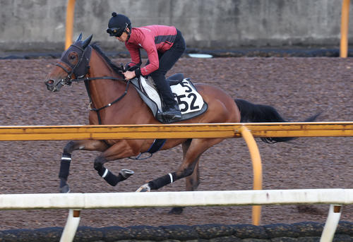 CWコースで追い切るグランディア