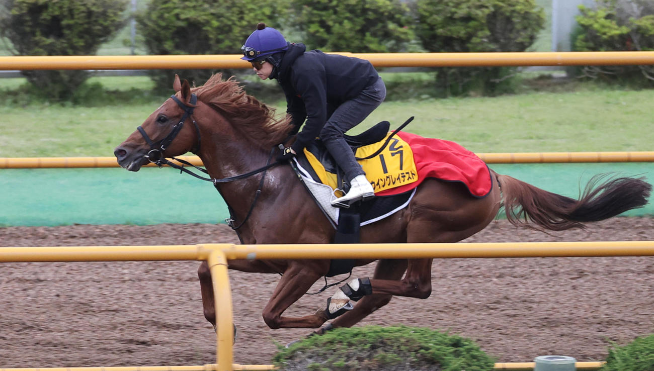 函館ウッドチップコースで追い切られるウイングレイテスト