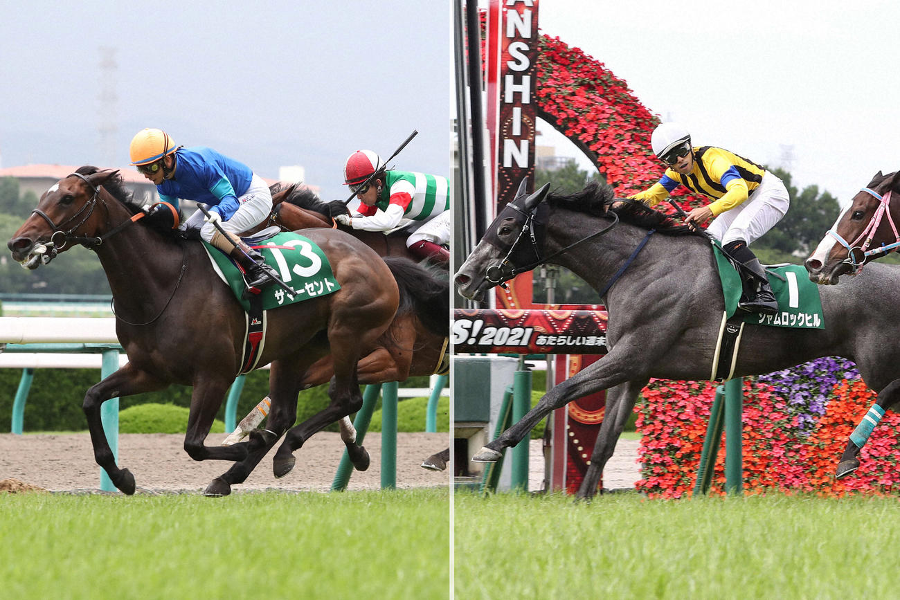 20年マーメイドSを制したサマーセント（左）と21年マーメイドSを制したシャムロックヒル