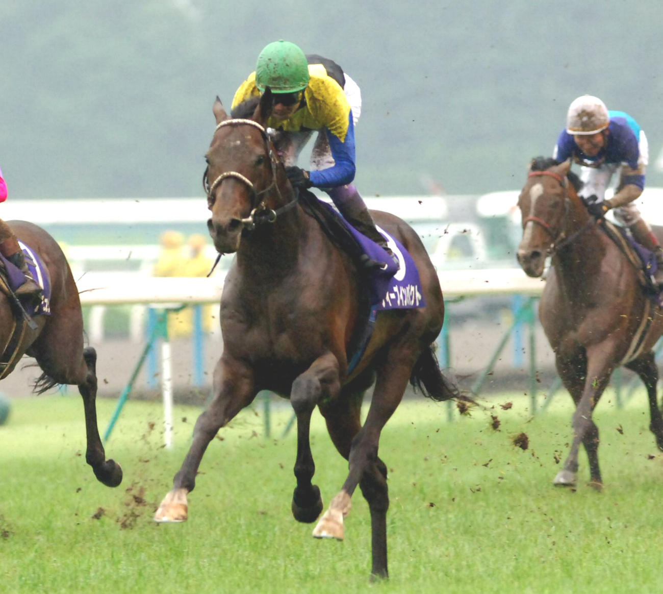 2006年6月25日、宝塚記念を制したディープインパクト