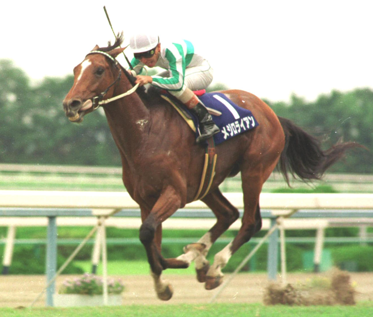 1991年6月9日、宝塚記念を制したメジロライアン
