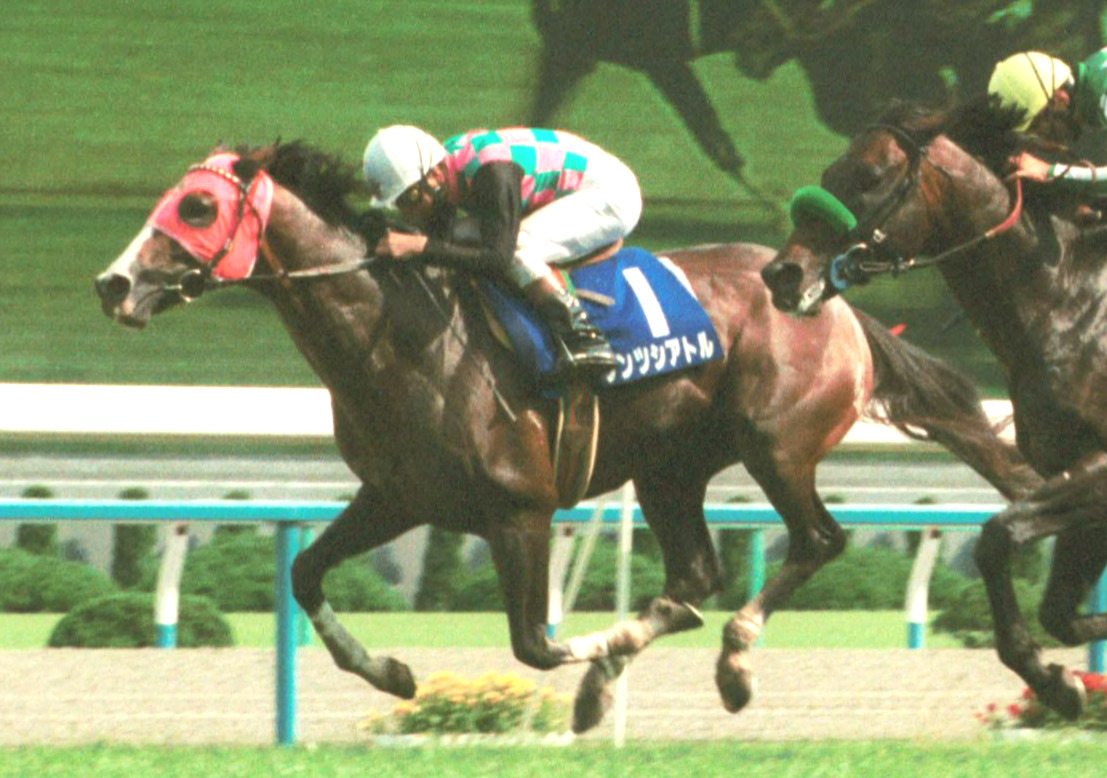 1995年6月4日、宝塚記念を制したダンツシアトル