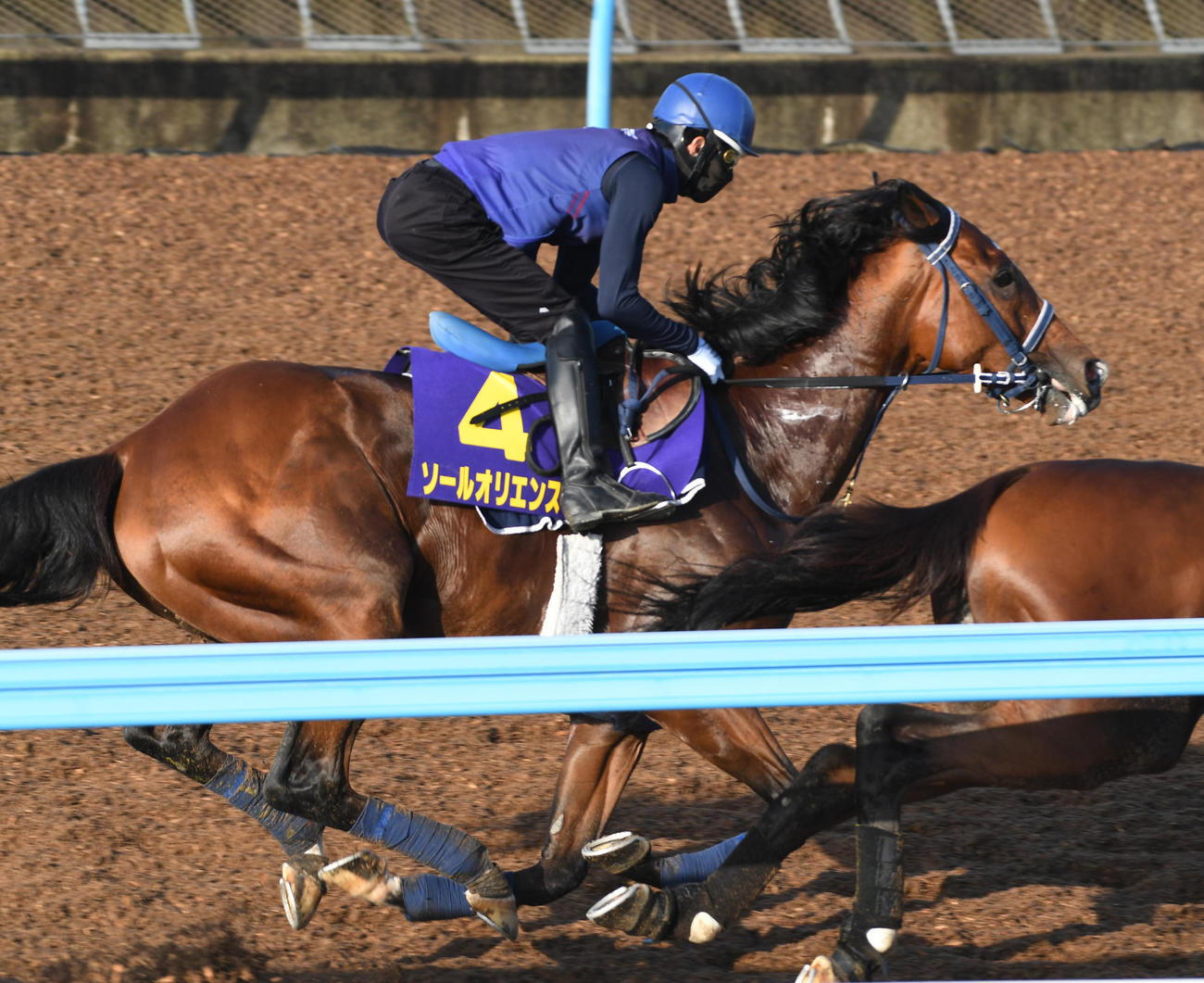 19日、併せ馬で追い切るソールオリエンス