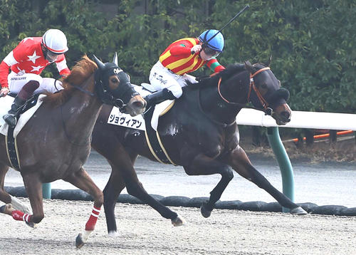 2023年12月16日、中京3Rの3歳1勝クラスを制したジョヴィアン