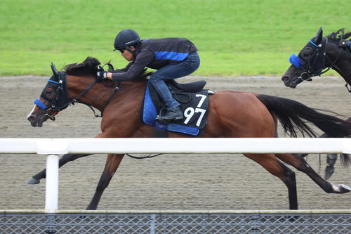 ポリトラックで併せ馬に先着するナナオ