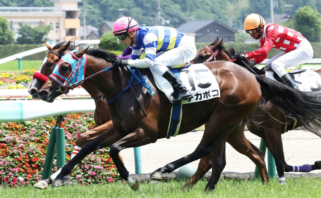 22年7月3日福島6Rの新馬戦を勝ち上がったチカポコ