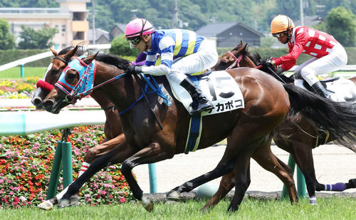 22年7月3日福島6Rの新馬戦を勝ち上がったチカポコ