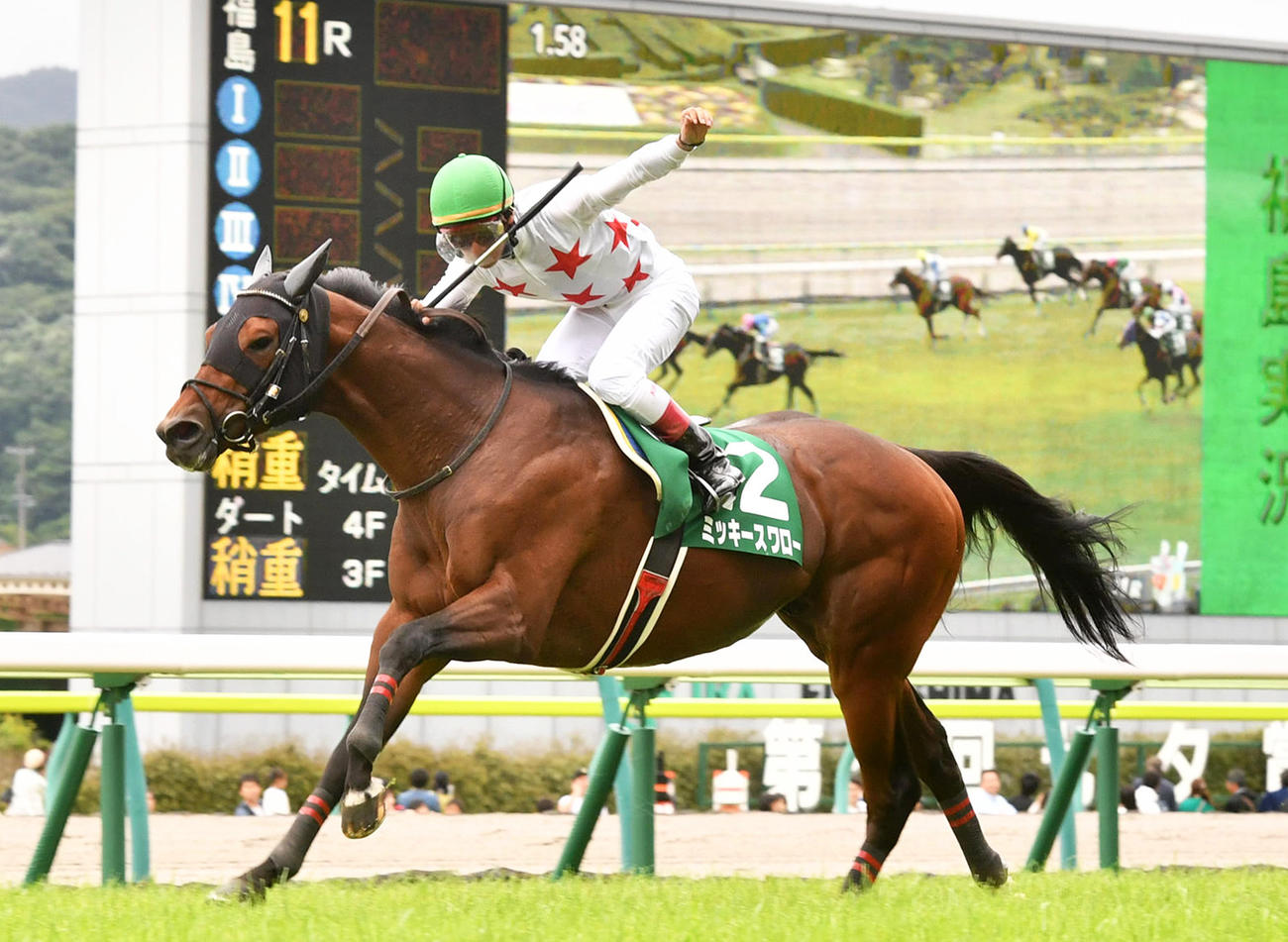 19年七夕賞を制したミッキースワロー