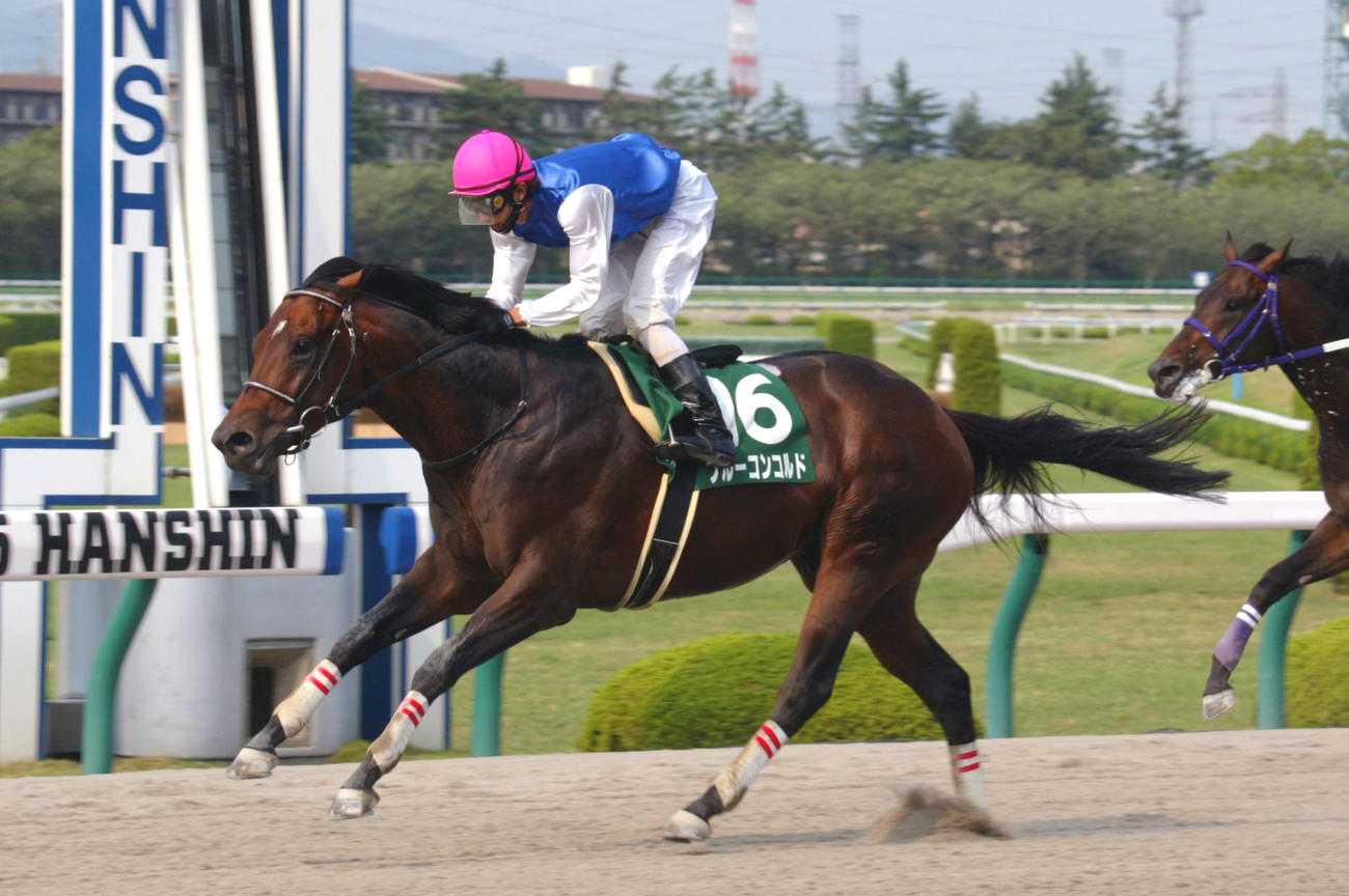 05年プロキオンSを制したブルーコンコルド