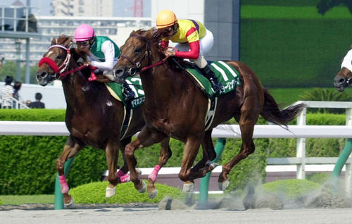 02年プロキオンSを制した、スターリングローズ（右）