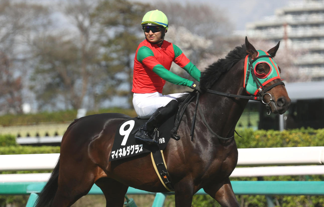 マイネルダグラス（2024年4月撮影）