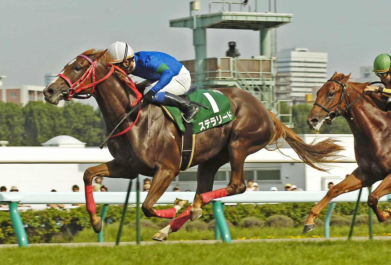 09年函館2歳Sを制したステラリード