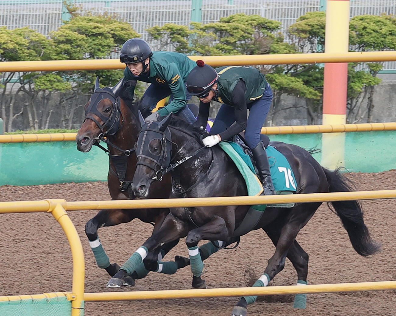 函館ウッドチップコースで、併せ馬で追い切られるデビットバローズ（左）