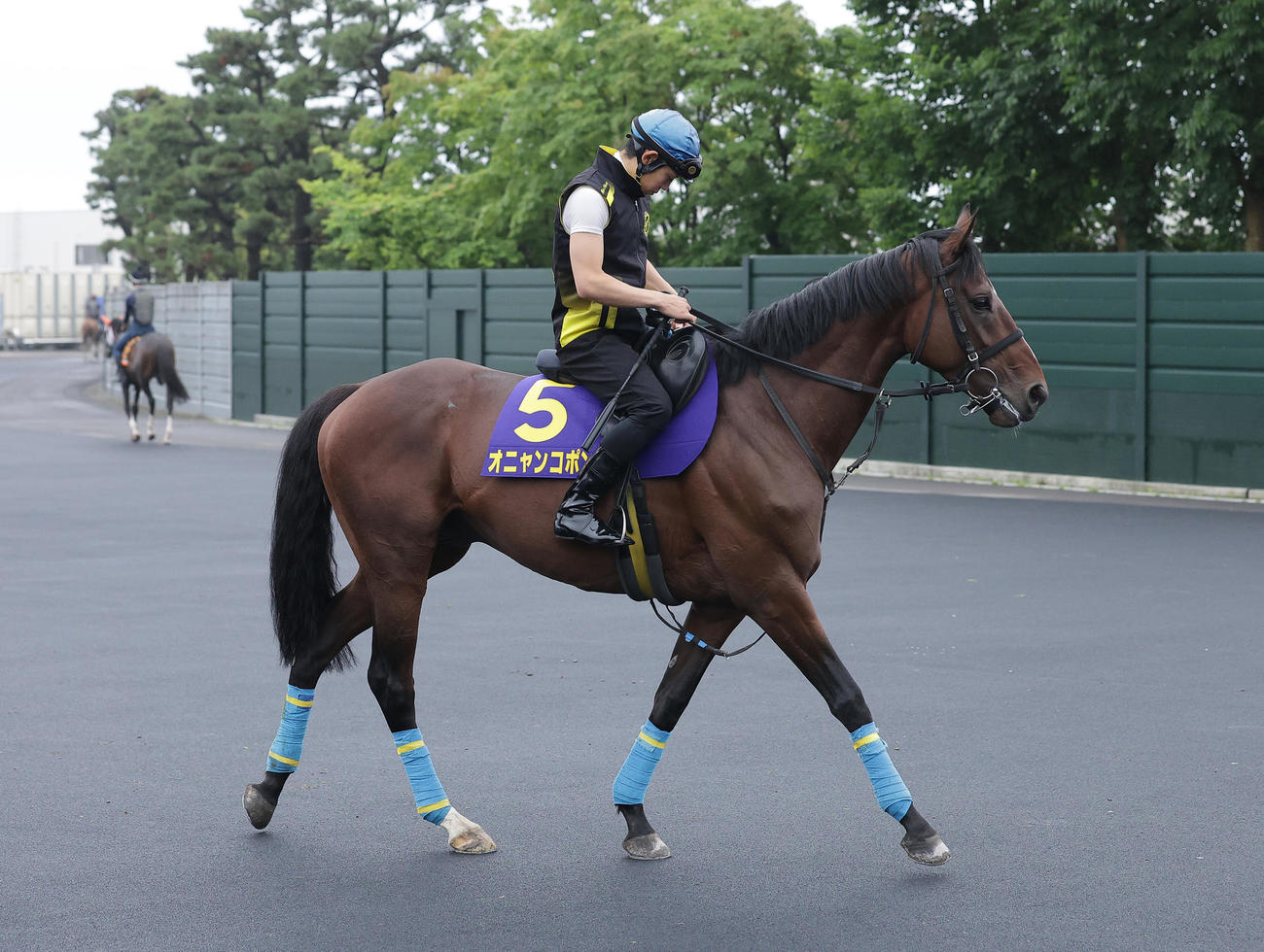 9日、函館競馬場で調整を積むオニャンコポン