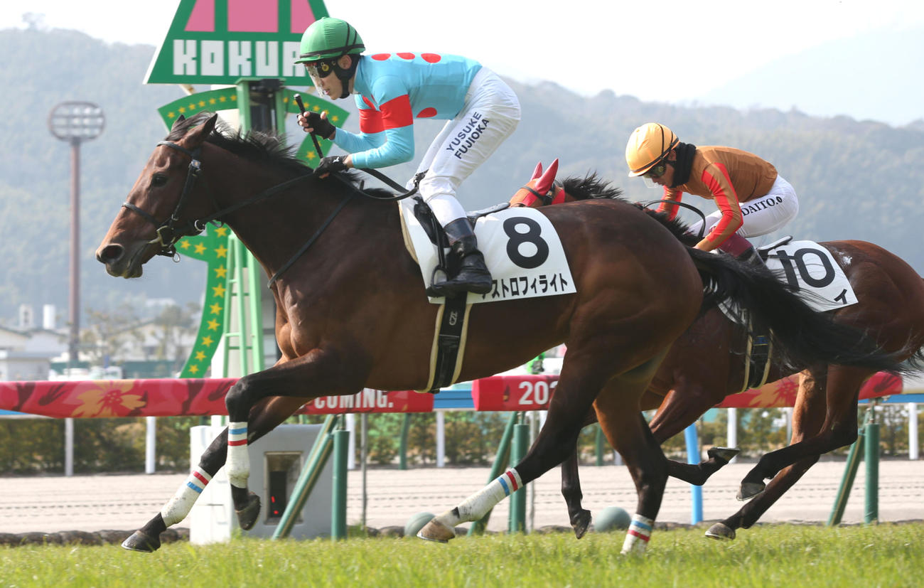 2月11日小倉7Rの4歳上1勝クラスを制したアストロフィライト