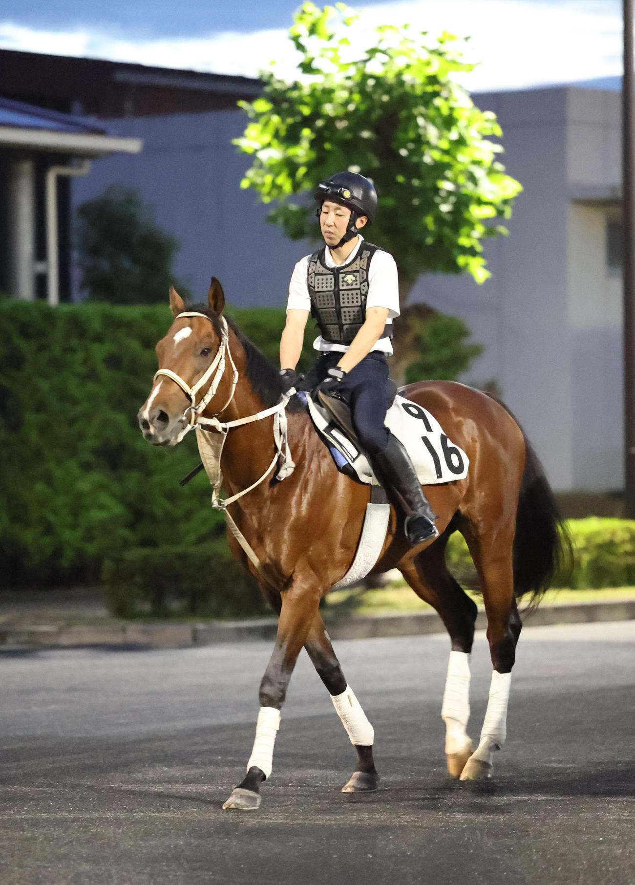 ジュストコル（2024年7月10日撮影）