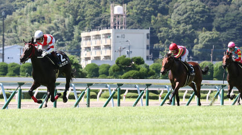 20年ひまわり賞を制したヨカヨカ(左)