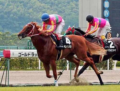 04年ひまわり賞を制したテイエムチュラサン