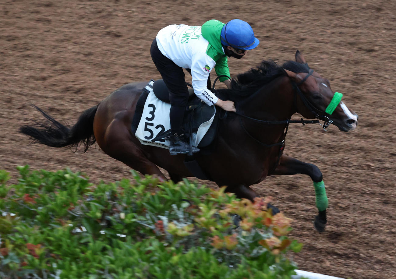 西村淳騎手を背に坂路で追い切るエルトンバローズ