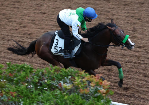西村淳騎手を背に坂路で追い切るエルトンバローズ