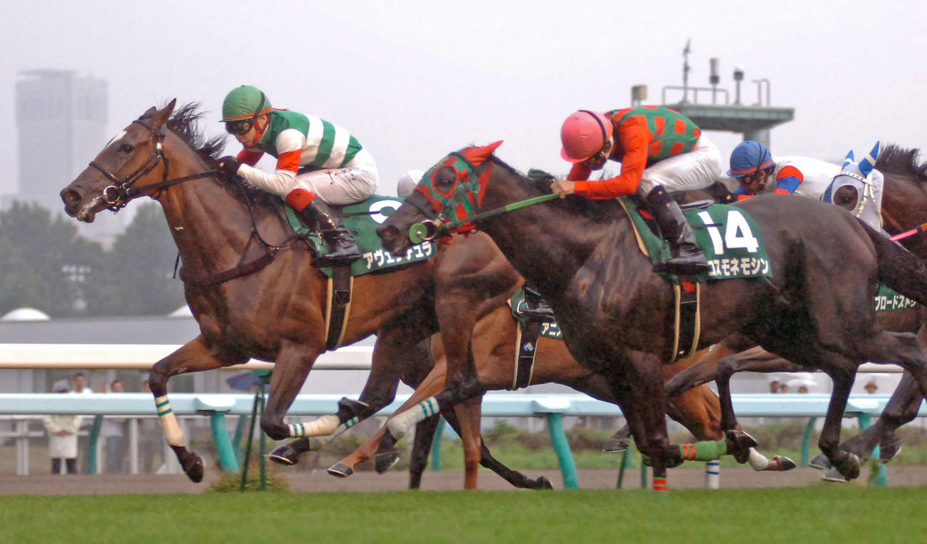 11年クイーンSを勝ったアヴェンチュラ（左）
