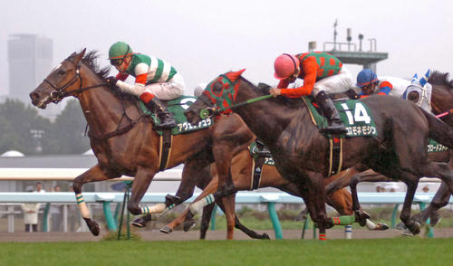 11年クイーンSを勝ったアヴェンチュラ(左)
