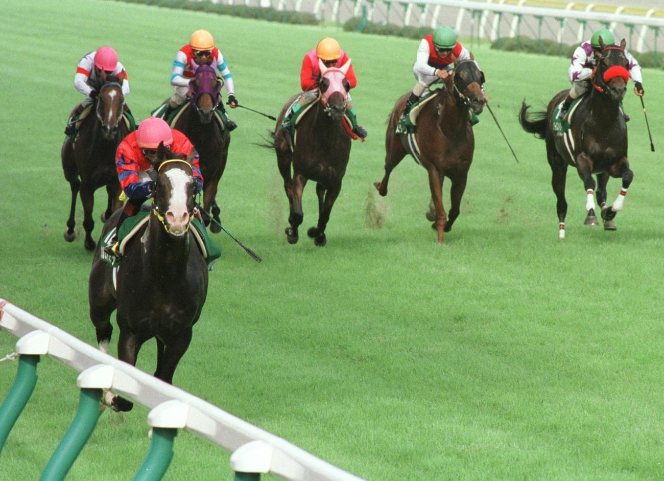 カルストンライトオ（大西直宏騎手）（左）が後続を寄せ付けずレコードタイムでアイビスサマーダッシュを逃げ切った（02年8月18日殺意）