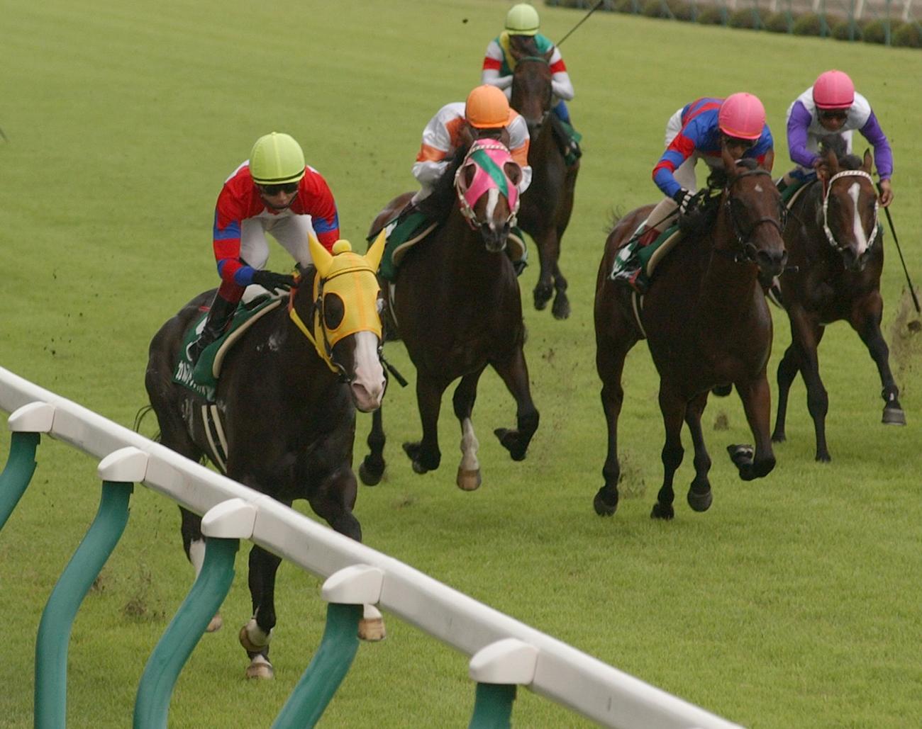 カルストンライトオ（左）はスタート直後に大外へ、そのまま快走し2着に3馬身の差をつけ快勝した（04年08月22日撮影）