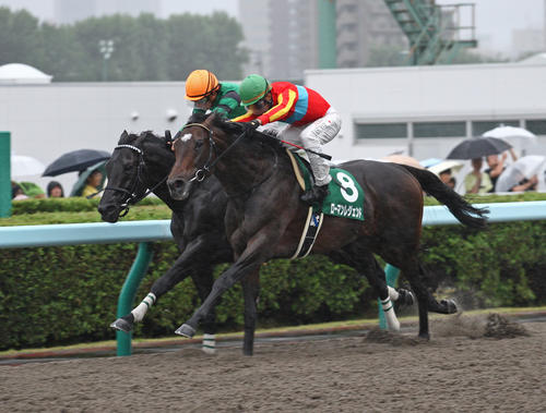 エルムSに勝利したローマンレジェンド(2014年7月27日撮影)