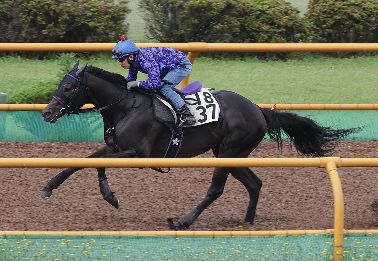 水口優也騎手を背に、函館ウッドチップコースで追い切られるフルム