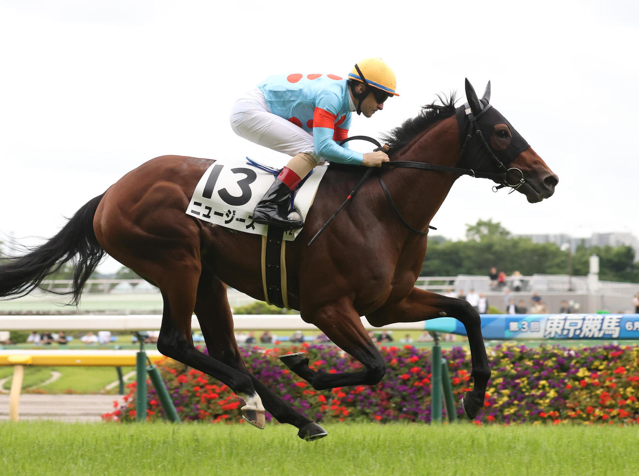 6月9日、東京12Rの3歳上1勝クラスを勝ち上がったニュージーズとルメール騎手