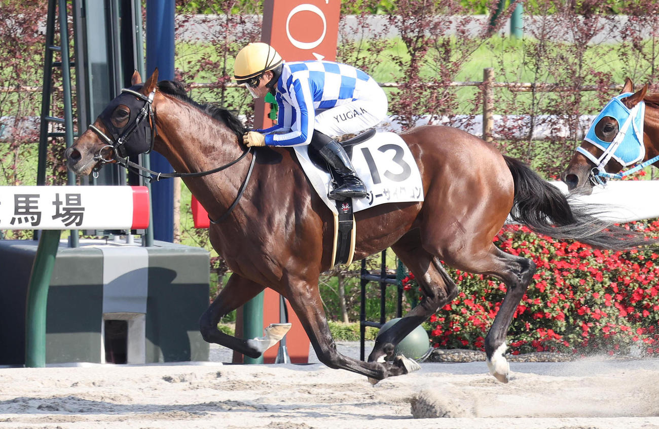 6月16日京都12R3歳以上2勝クラスを制したジーサイクロン