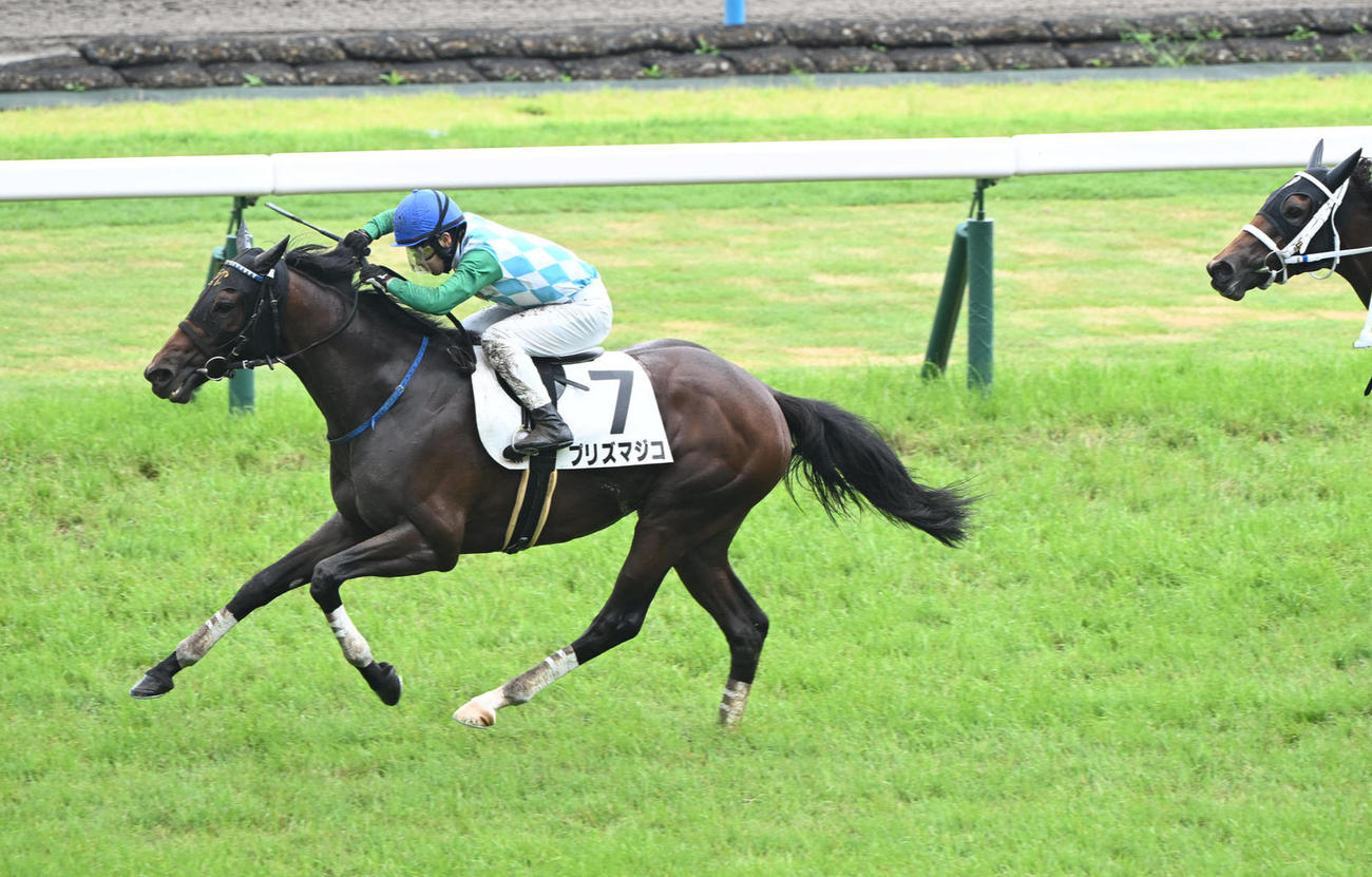 6月23日京都4R3歳未勝利を制したプリズマジコ
