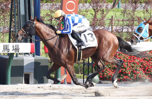 6月16日京都12R3歳以上2勝クラスを制したジーサイクロン