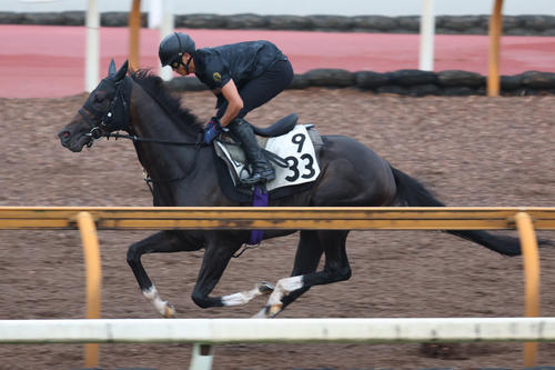 7日、Cウッドコースを馬ナリで軽快に駆け抜けるジュンブロッサム