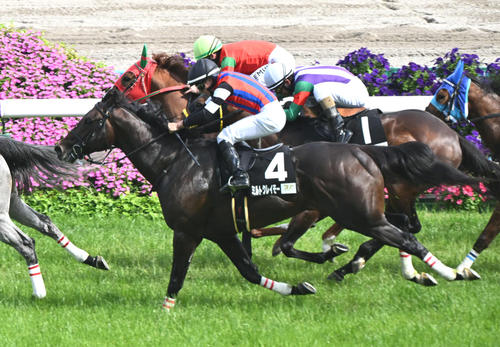 4月28日、ライスシャワーC2着のミルトクレイモー