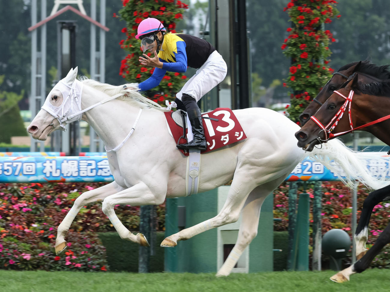 札幌記念で優勝したソダシ（2021年8月22日撮影）