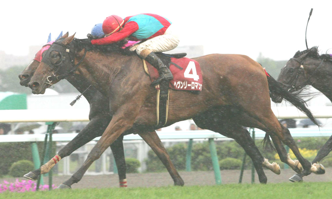 札幌記念で優勝したヘヴンリーロマンス（2005年8月21日撮影）
