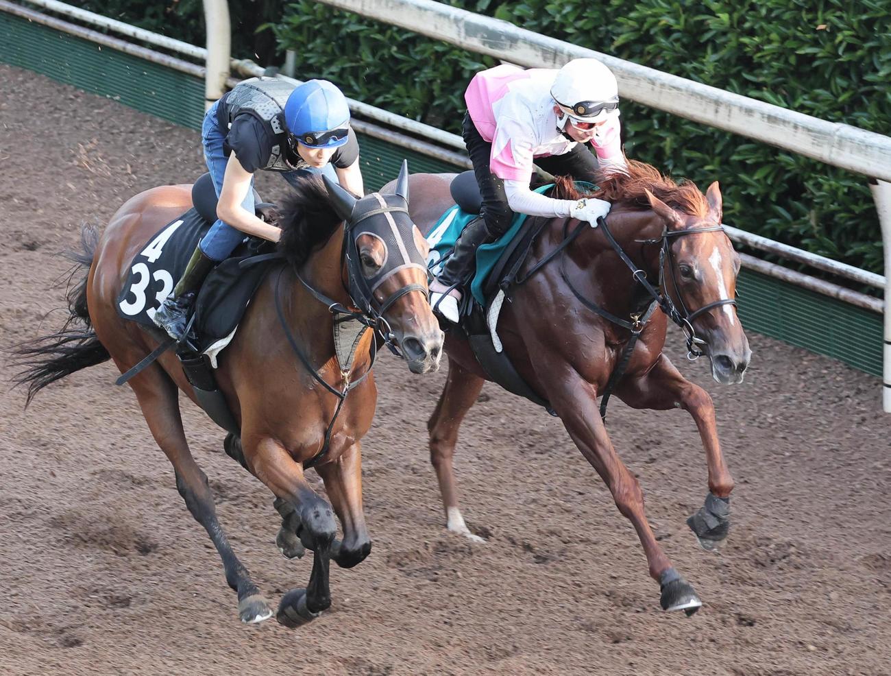 坂路を併せ馬で追い切ったプロクレイア（右）